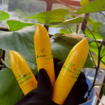 Banana Lip Balm - Image 5