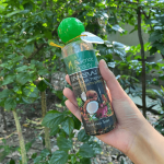 Bhringraj Organic Hair Therapy