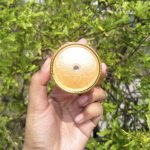 Jiaoli Birds Nest Whitening Night Cream - Image 8