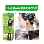 Fast Black Color Hair Shampoo - Image 2